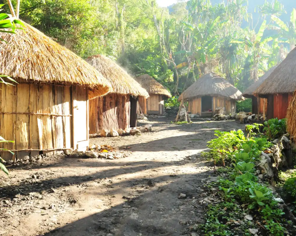 Thatched honai houses along a village lane in Papua