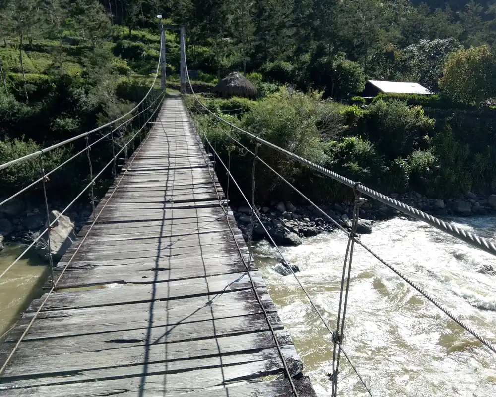 Wooden suspension bridge over the Baliem River near Kurima