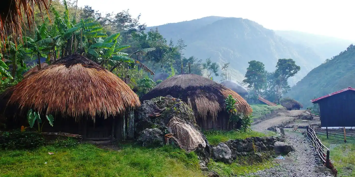 Morning haze over a honai village in the Baliem Valley
