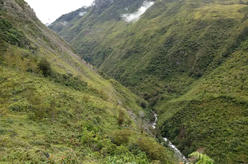 Green gorge and white-water river in the Baliem Valley