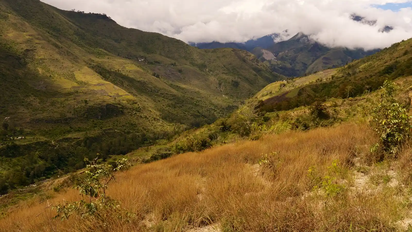 Grassy slopes above the Baliem Valley